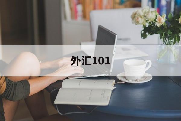 外汇101(外汇110官方网站登录方式)