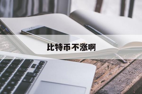 比特币不涨啊(2021年比特币怎么还不崩盘)